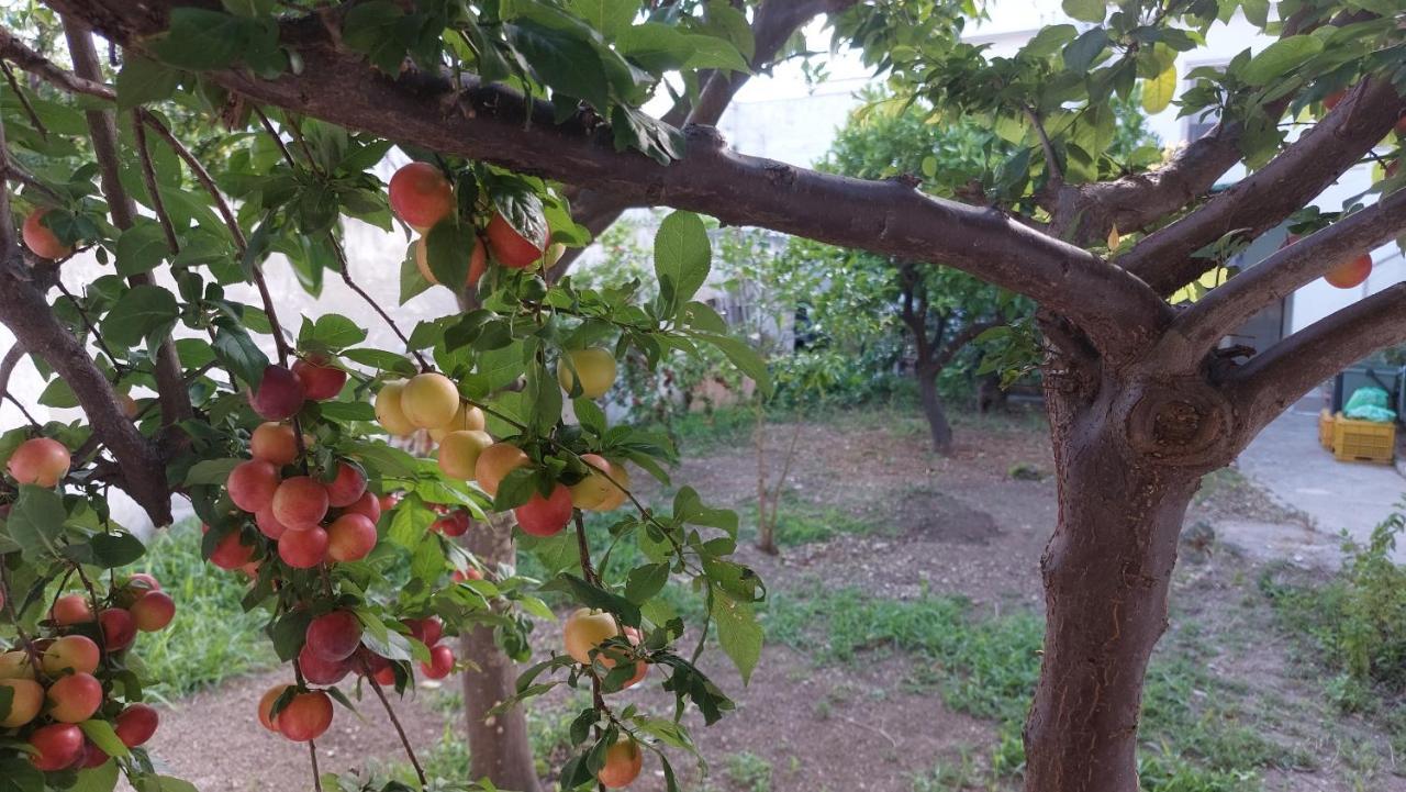 Jonia Appartamento Vacanze Vicino Al Mare Con Giardino Pulsano Eksteriør billede