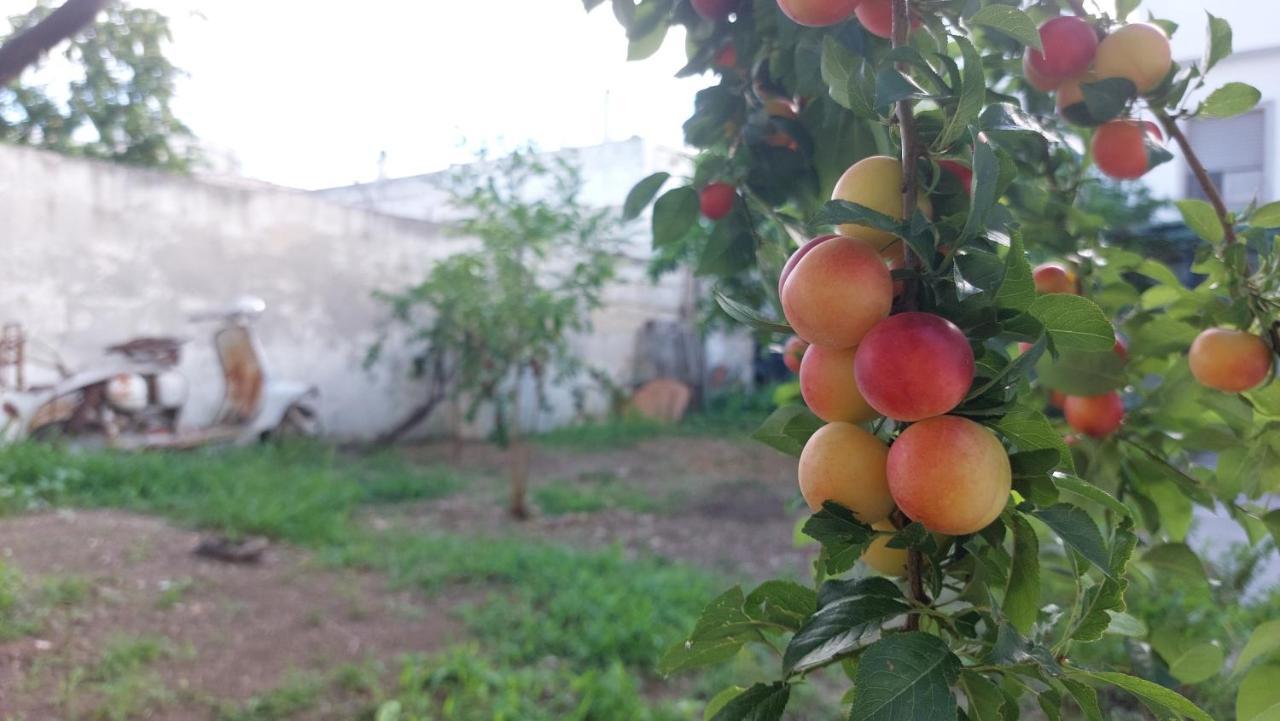 Jonia Appartamento Vacanze Vicino Al Mare Con Giardino Pulsano Eksteriør billede